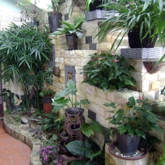 Отель Fansipan View Hotel Вьетнам, Шапа - отзывы, цены и фото номеров - забронировать отель Fansipan View Hotel онлайн фото 3