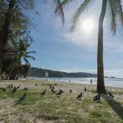 Отель Knock Knock Beach Boutique пляж фото 2