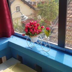 Отель Pham's House ванная