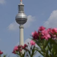 Отель Holiday Inn Express Berlin City Centre-West фото 6