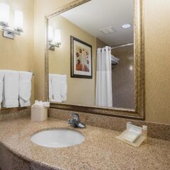 Отель Hilton Garden Inn Meridian ванная фото 2