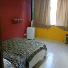 Отель Hostel Balagan Мексика, Канкун - отзывы, цены и фото номеров - забронировать отель Hostel Balagan онлайн комната для гостей фото 4
