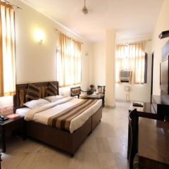Отель Grand Central Hotel Индия, Нью-Дели - отзывы, цены и фото номеров - забронировать отель Grand Central Hotel онлайн комната для гостей фото 4