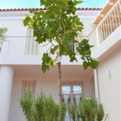 Отель Themelio Boutique Suite Греция, Афины - отзывы, цены и фото номеров - забронировать отель Themelio Boutique Suite онлайн фото 12
