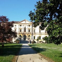 Отель Agriturismo Sartori Terenzio Италия, Куинто-Вичентино - отзывы, цены и фото номеров - забронировать отель Agriturismo Sartori Terenzio онлайн фото 9