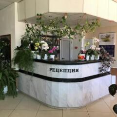 Fanti Hotel Видин интерьер отеля фото 2