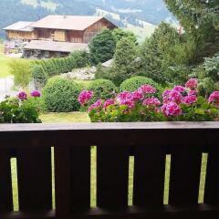 Отель Gstaad - Amazing Lake Chalet балкон