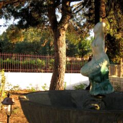 Отель Terra Diletta B&B Кутрофьяно фото 12
