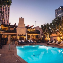 Hotel Figueroa Downtown Los Angeles бассейн фото 3