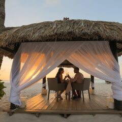 Отель Bucuti & Tara Beach Resort - Adults Only с домашними животными