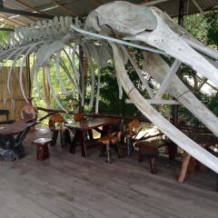 Отель Living Chilled Koh Tao - Hostel Таиланд, Остров Тау - отзывы, цены и фото номеров - забронировать отель Living Chilled Koh Tao - Hostel онлайн фото 5