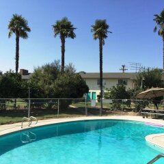 Отель 99 Palms Inn & Suites бассейн