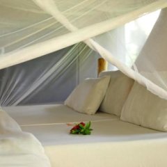 Migunga Tented Camp in Karatu, Tanzania from 252$, photos, reviews - zenhotels.com guestroom photo 3