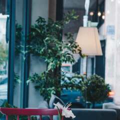 Отель Aristo Boutique Hotel Греция, Афины - отзывы, цены и фото номеров - забронировать отель Aristo Boutique Hotel онлайн балкон