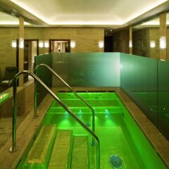 Отель Park Hyatt Milano Италия, Милан - 1 отзыв об отеле, цены и фото номеров - забронировать отель Park Hyatt Milano онлайн бассейн