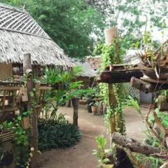Jackie Bamboo House Hostel Ланта гостиничный бар