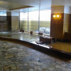 Gifu Grand Hotel бассейн фото 3