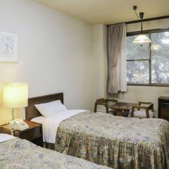 Hakuba Park Hotel Хакуба комната для гостей фото 4