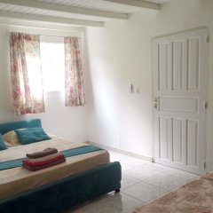 House With 5 Bedrooms in Bas Vent, With Wonderful sea View and Furnish in Deshaies, France from 212$, photos, reviews - zenhotels.com photo 6