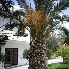 Mastorakis Hotel And Studios фото 10