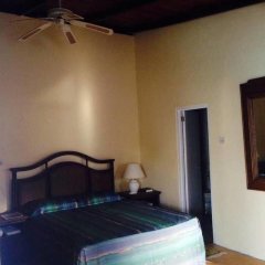 Kings Landing Hotel in Clifton, St. Vincent and the Grenadines from 183$, photos, reviews - zenhotels.com room amenities photo 2