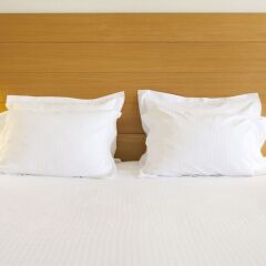 Alion Beach Hotel in Ayia Napa, Cyprus from 211$, photos, reviews - zenhotels.com photo 5