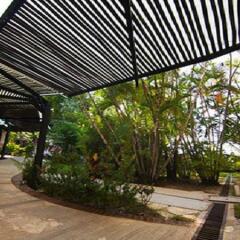Отель Comfort Inn Palenque Maya Tucán