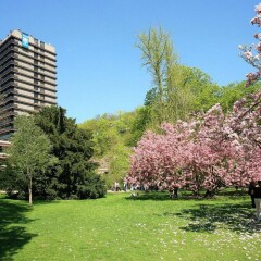 Spa Hotel Thermal Карловы Вары фото 2