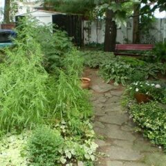 Отель L'Oasis du Vieux-Longueuil Канада, Лонгёй - отзывы, цены и фото номеров - забронировать отель L'Oasis du Vieux-Longueuil онлайн фото 5