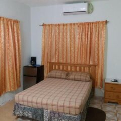 Philsha's Guest House in Charlestown, St. Kitts and Nevis from 156$, photos, reviews - zenhotels.com guestroom