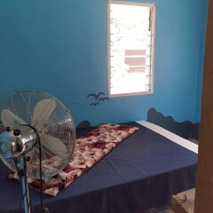 Отель Amour Rendezvous HomeStay Фиджи, Вити-Леву - отзывы, цены и фото номеров - забронировать отель Amour Rendezvous HomeStay онлайн фото 6