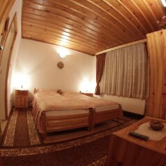 Отель Dobrikovskata Guest House Чепеларе комната для гостей фото 5