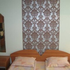 Отель Layosh Koshut Apartment Болгария, София - отзывы, цены и фото номеров - забронировать отель Layosh Koshut Apartment онлайн комната для гостей фото 4