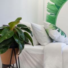 Отель La Regatta Boutique Residences комната для гостей фото 5