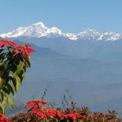 Отель Himalayan Horizon Непал, Дхуликхел - отзывы, цены и фото номеров - забронировать отель Himalayan Horizon онлайн фото 5