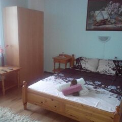 Отель Veselata Guest House Болгария, Боровец - отзывы, цены и фото номеров - забронировать отель Veselata Guest House онлайн фото 22