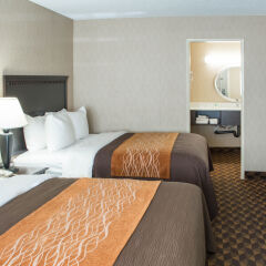 Отель Comfort Inn - Woodland Hills США, Лос-Анджелес - отзывы, цены и фото номеров - забронировать отель Comfort Inn - Woodland Hills онлайн комната для гостей фото 2