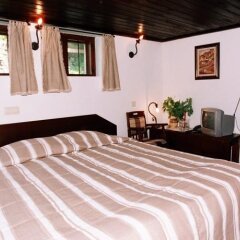 Отель Parlapanova Guest House - Pool Access Боженци комната для гостей фото 4