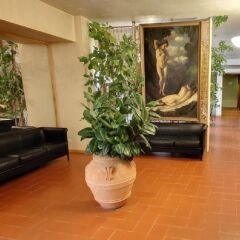 Отель Villa Gabriele DAnnunzio спа
