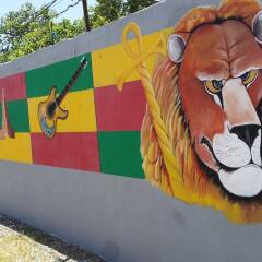 Reggae Hostel развлечения