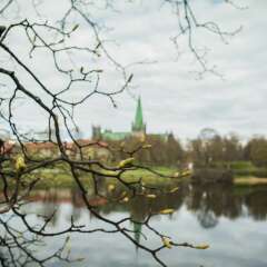 Отель P-Hotels Trondheim Норвегия, Тронхейм - отзывы, цены и фото номеров - забронировать отель P-Hotels Trondheim онлайн приотельная территория