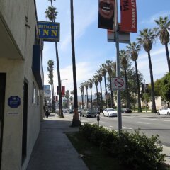 Отель Budget Inn Hollywood США, Лос-Анджелес - отзывы, цены и фото номеров - забронировать отель Budget Inn Hollywood онлайн фото 2