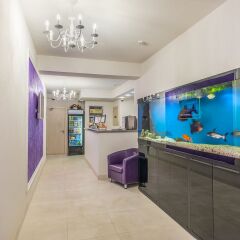 Alex Hotel na Petrogradskoy интерьер отеля