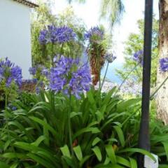 Отель Quinta Da Capela Машику фото 17