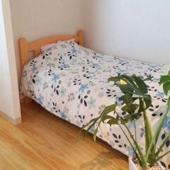 Отель Asakusa Cozy Hotel Япония, Токио - отзывы, цены и фото номеров - забронировать отель Asakusa Cozy Hotel онлайн комната для гостей фото 2