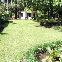 Отель Airport Hotel Costa Rica Коста-Рика, Алахуэла - отзывы, цены и фото номеров - забронировать отель Airport Hotel Costa Rica онлайн фото 3