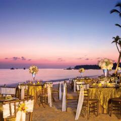 Отель Dreams Palm Beach Punta Cana - Luxury All Inclusive Доминикана, Пунта Кана - отзывы, цены и фото номеров - забронировать отель Dreams Palm Beach Punta Cana - Luxury All Inclusive онлайн помещение для мероприятий