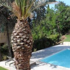 Отель Confiance Immobiliere - La Villa Saint Antoine спортивное сооружение