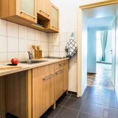 Апартаменты Holiday & Business Apartments Vienna Вена фото 5