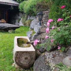 Отель Gstaad - Amazing Lake Chalet фото 8